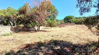 Terreno di 510 m² a Olbia