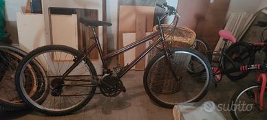 bicicletta 26 pollici 
