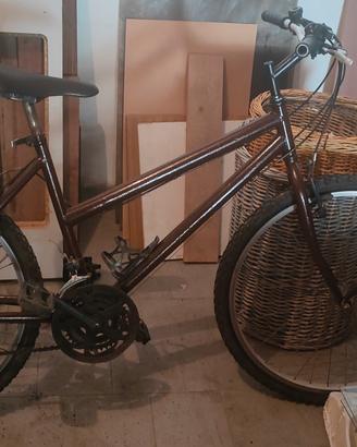 bicicletta 26 pollici 
