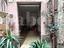 Immagine 7