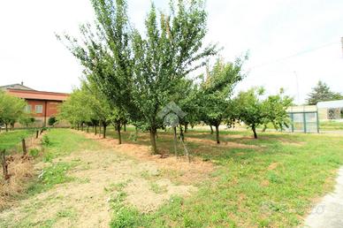TER. AGRICOLO A BRESCELLO