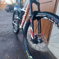 specialized enduro 