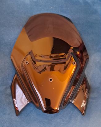 Cupolino touring Puig BMW F900R