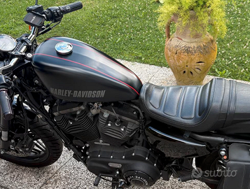 C ERCO serbatoio harley davidson xl1200cx Roadster