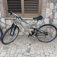 bicicletta mis26