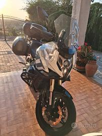 cf moto 650 mt