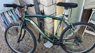 MTB 26" bicicletta