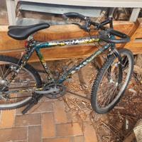 Mountain bike 