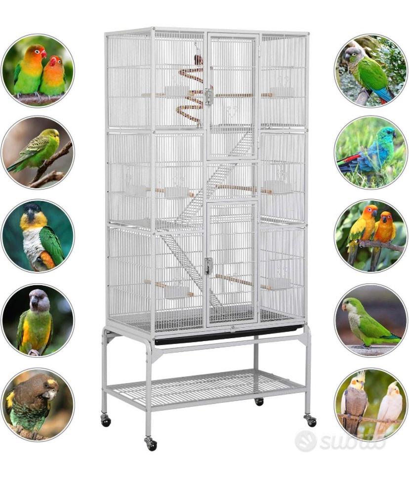 Uccelli da voliera per pappagalli in gabbia grande