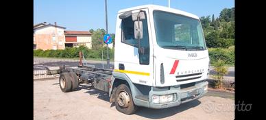 IVECO 65E15 anno 2006  a telaio passo 3690