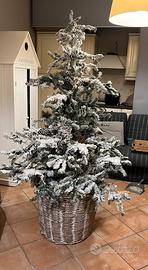 Albero natale
