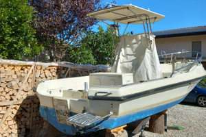 Barca poliform triakis 21