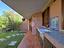 Immagine 29