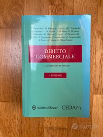 Diritto commerciale