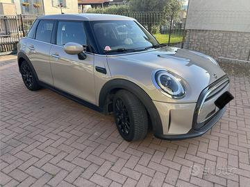 Mini one business