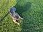 Immagine 4