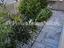 Immagine 27