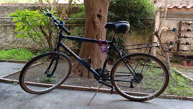 Mountain-bike Prestige vintage anni 90