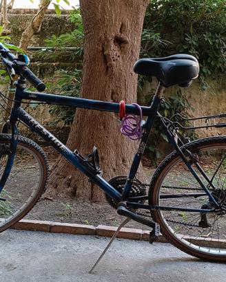 Mountain-bike Prestige vintage anni 90