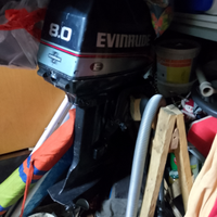 Evinrude 8 cv