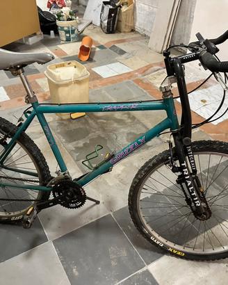 Bicicletta Mountain Bike