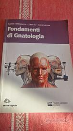 Fondamenti di Gnatologia