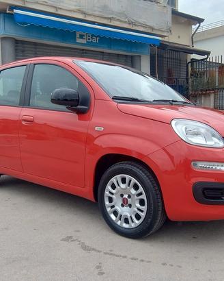 fiat panda 2018 cilindrata 1.2 benzina 