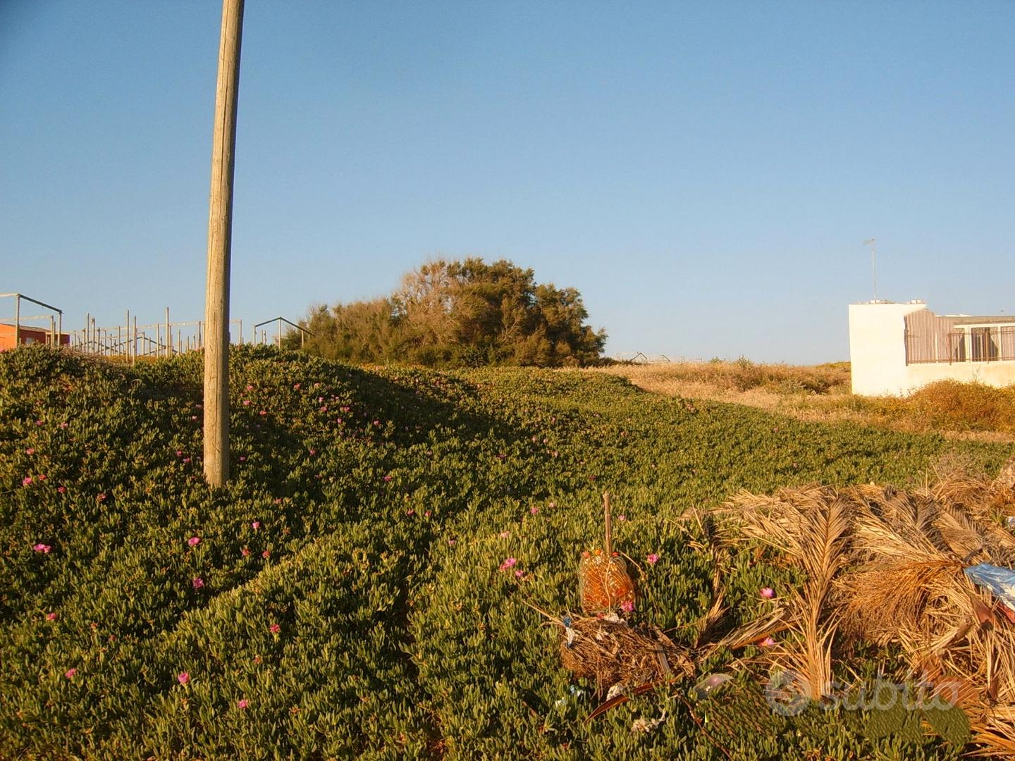 Terreno edificabile sul mare - Vista 3