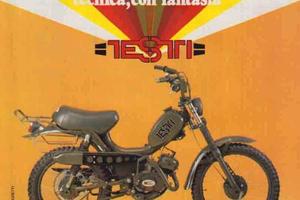 testi militar smontato