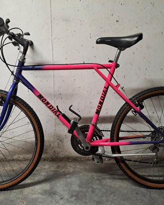 Bicicletta MTB Mondial Avventura. 