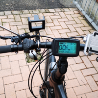 Bici elettrica Piaggio/Enel