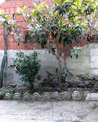 Appartamento - Catania