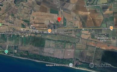 Casa singola - Capalbio