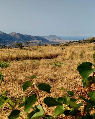Terreno edificabile
