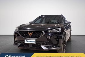 Cupra Formentor 2.0 tsi 4drive 190cv dsg