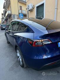Model Y