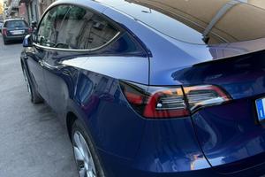 Model Y