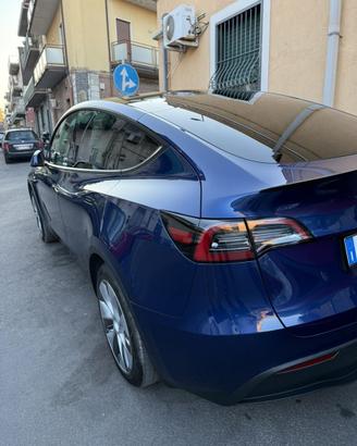 Model Y