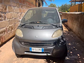 Smart palermo