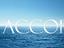 Immagine 8