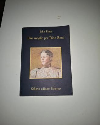 Una moglie per Dino Rossi