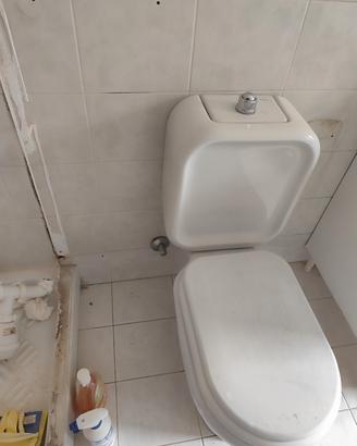 WC monoblocco cesame sintesi