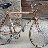 bici phoenix sprinter