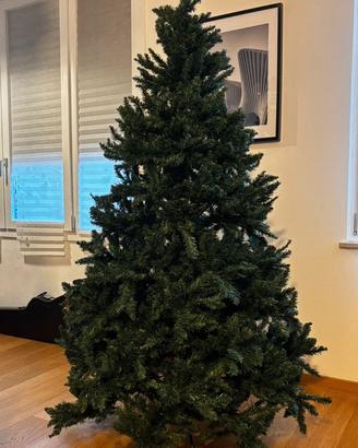 Albero di natale