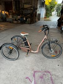 Triciclo a pedalata assistita