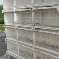 Splendida batteria gabbie su due lati