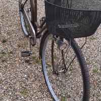 Bicicletta per donna 