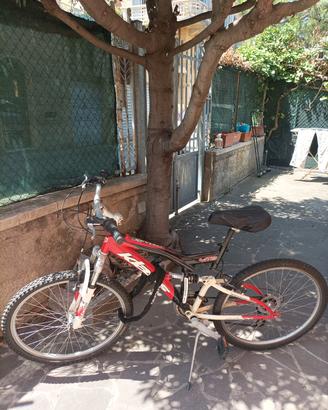 Bicicletta Klass Uomo/Donna 