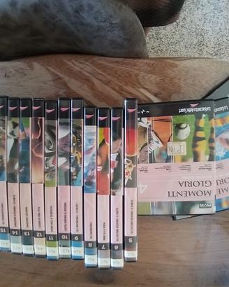 momenti di gloria dvd