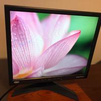 Monitor professionale schermo LCD